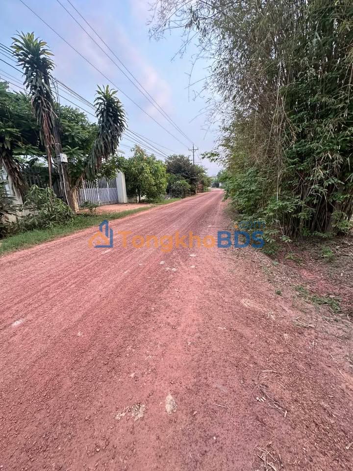 Đất Nền 1381m² Sổ Hồng Riêng Hảo Đước, Châu Thành - Giá Đầu Tư 7.2 Tỷ