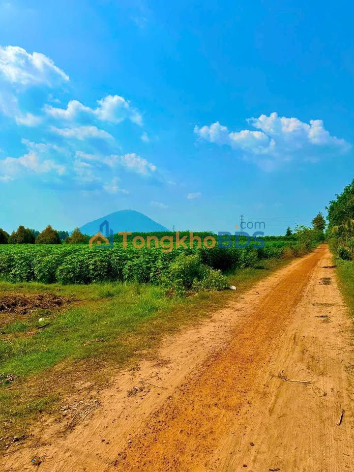 Đất Vườn 9000m² Xã Cầu Khởi, Dương Minh Châu - Sổ Hồng 1.6 Tỷ