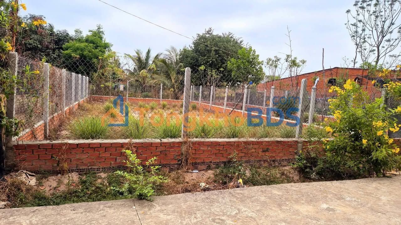 Bán Đất Mặt Tiền Đường 5m Xã Trí Bình, Châu Thành - 197m² Thổ Cư, Giá 700 Triệu