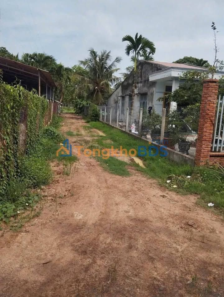 Đất Nền Châu Thành, Tây Ninh - 1072m² - Giá 290 Triệu Chính Chủ