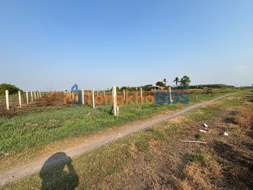 Bán đất Tân Hưng, Tây Ninh 140m² giá 190 triệu - Sổ hồng sẵn