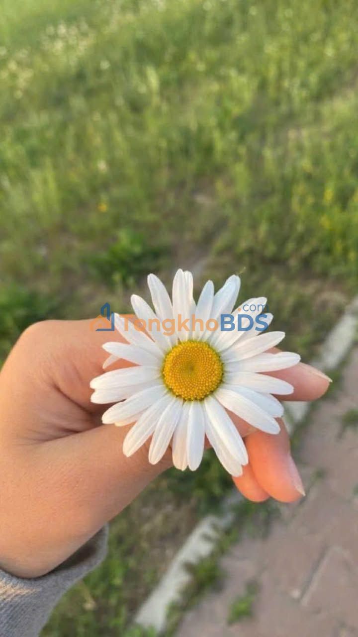 Nhà Chính Chủ 38m² Gần Chợ Chiều Tôn Đản, Đà Nẵng - Giá 2.15 Tỷ