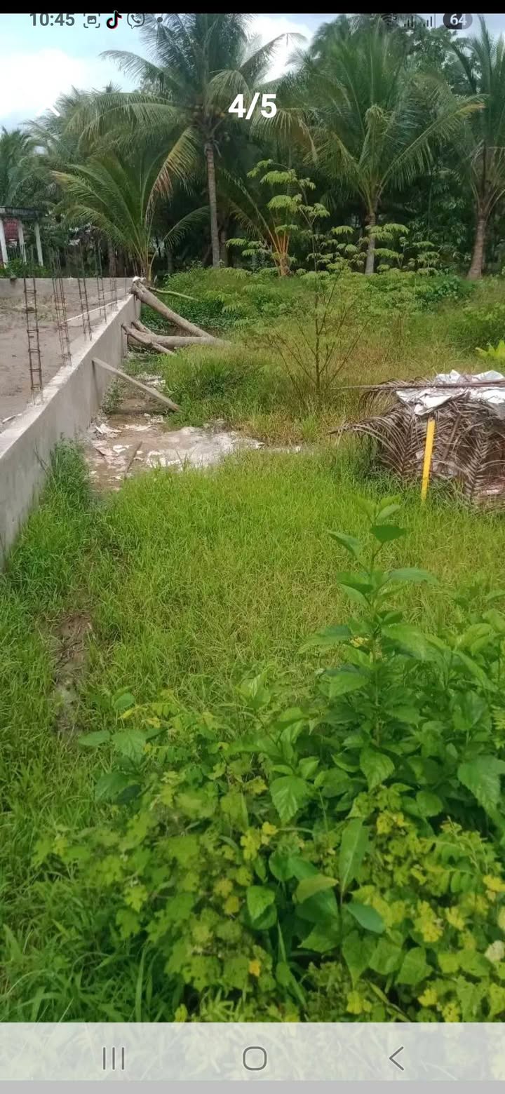 Bán gấp đất nền 150m² sổ hồng tại Tam Bình, Vĩnh Long - 180 triệu