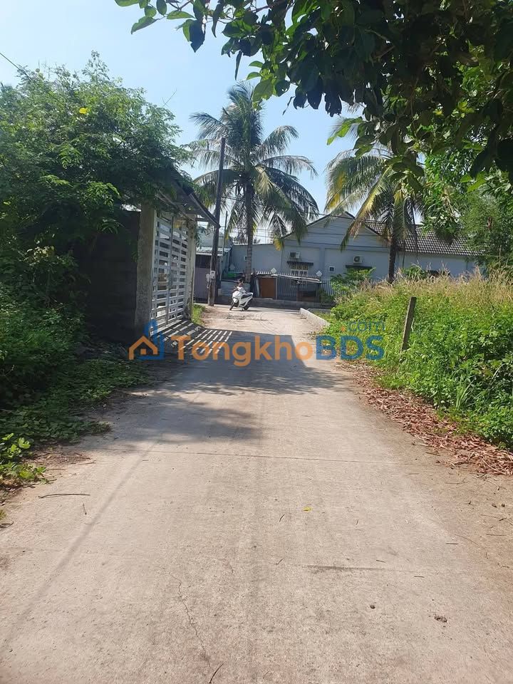 Bán đất thổ cư 137m² Phường An Thới, Phú Quốc - Sổ hồng sẵn, đường ô tô