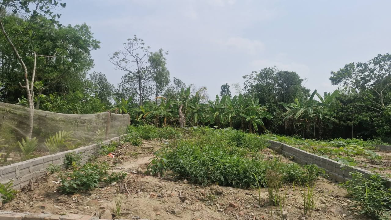 Bán Đất 65m² Vũ Bản, Bình Lục - Giá Tốt Nhỉnh 400 Triệu