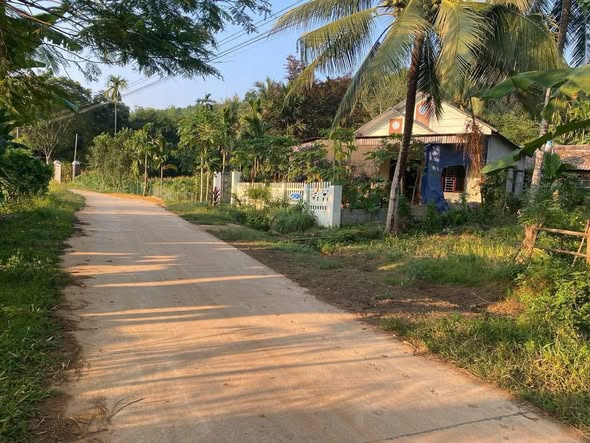 Đất nền Ngọc Lặc 250m² - Sổ hồng sẵn, giá chỉ từ 2xx triệu