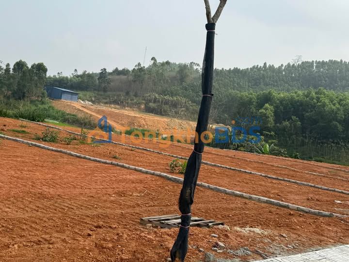 Bán Đất Nền KDC 24 Kim Phú, Tuyên Quang - 100-500m², Giá 7xx Triệu/Lô