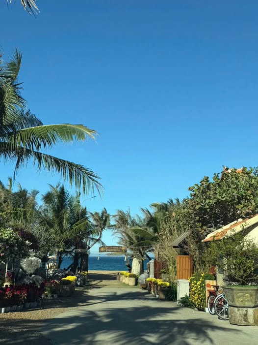 Đất Biển Phú Yên 637m² Gần Sun Village - Sẵn Sàng Kinh Doanh