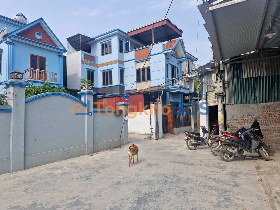 Bán Đất Kèm Xưởng 154m² Hậu Giang - Giá Tốt Đầu Tư