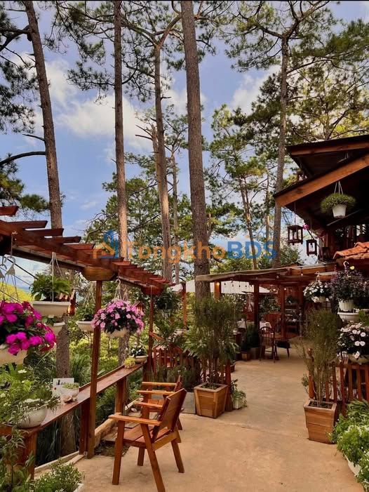 Đất Nền Gia Hiệp, Di Linh 720m² - Sổ Hồng Sẵn Sàng Đầu Tư