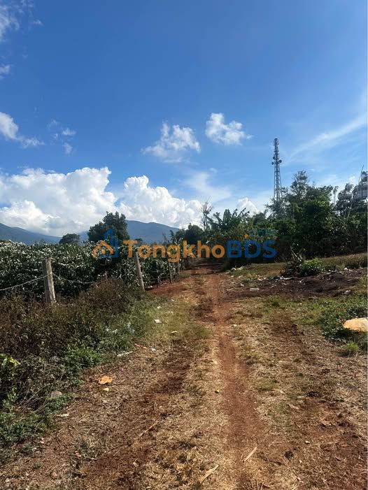 Bán Đất Đinh Lạc, Di Linh, Lâm Đồng - 1400m² Gần QL20