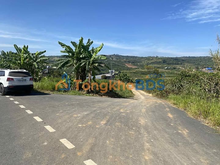 Đất nền Tân Hà 1260m² 1.855 tỷ - Sổ đỏ chính chủ