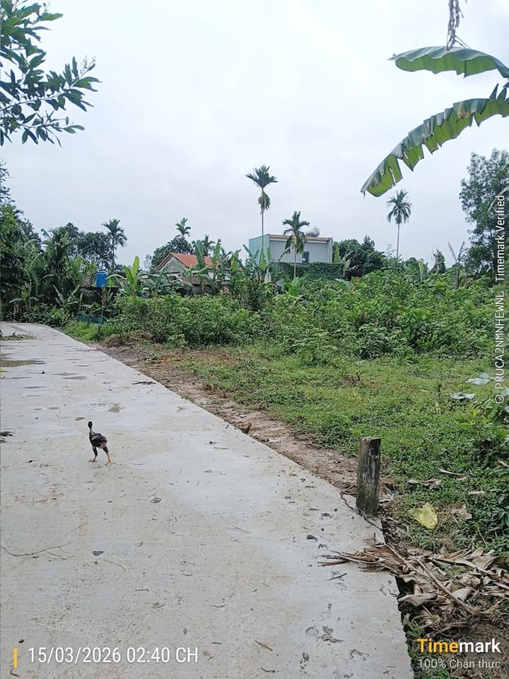 Đất nền Thạch Thang, Hải Châu 120m² - Đường 7m, Sổ sạch 1.4 tỷ