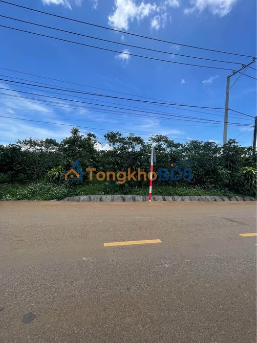 Đất thổ cư Tân Lâm 540m² 2 tỷ - Sổ đỏ chính chủ bán gấp