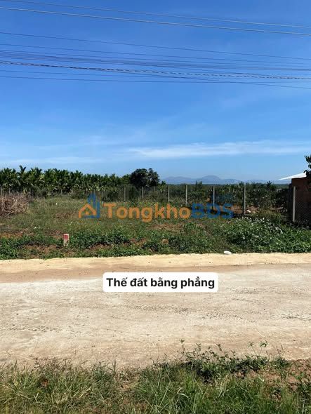 Đất nền Đinh Văn Lâm Hà 150m² 465 triệu - Sổ đỏ chính chủ