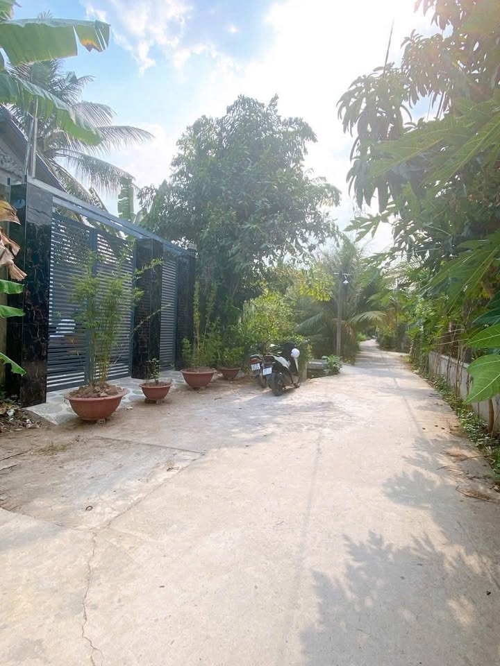 Nhà Cấp 4 Mỹ Tho 100m² - Gần Quảng Trường - Giá 3.5 Triệu/Tháng