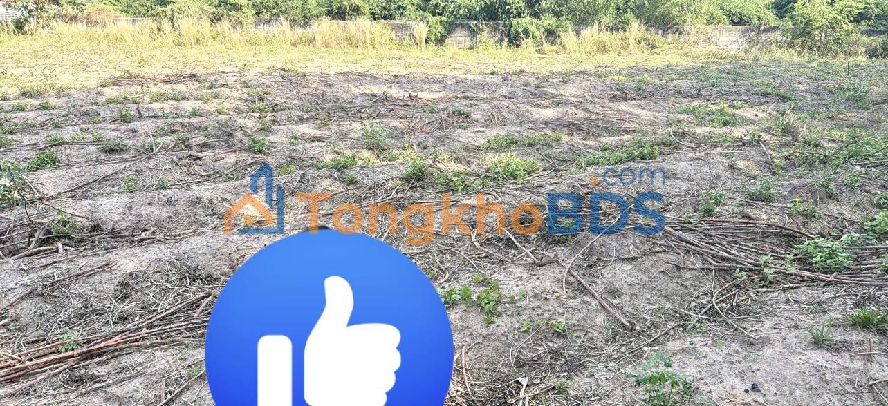 Đất Nền Chơn Thành Bình Phước 3200m² - Sổ Đỏ Rõ Ràng, Giá Chỉ 4.x Tỷ