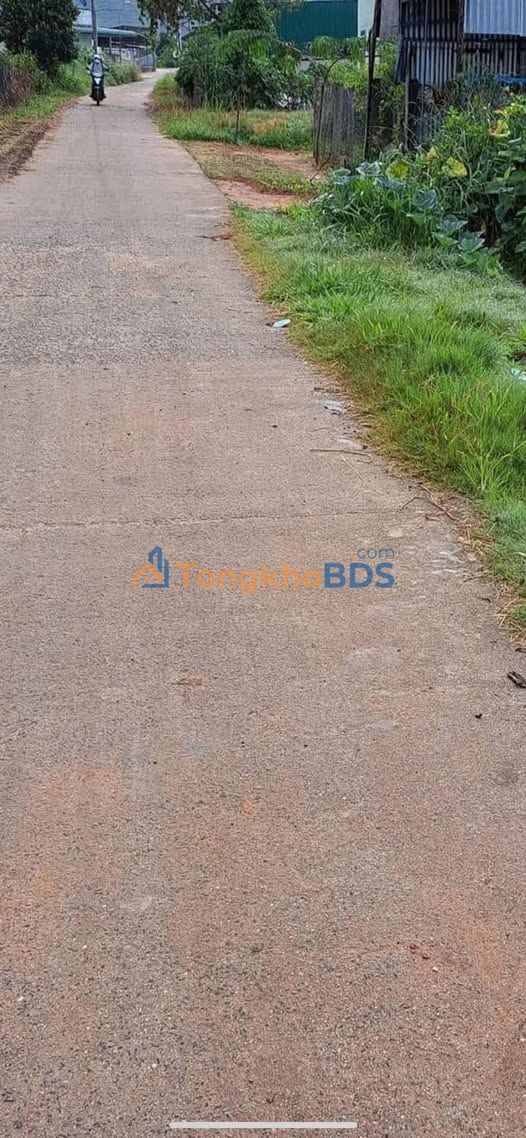 Đất Đạ K' Nàng Đam Rông 210m² 170 triệu - Đường to ô tô