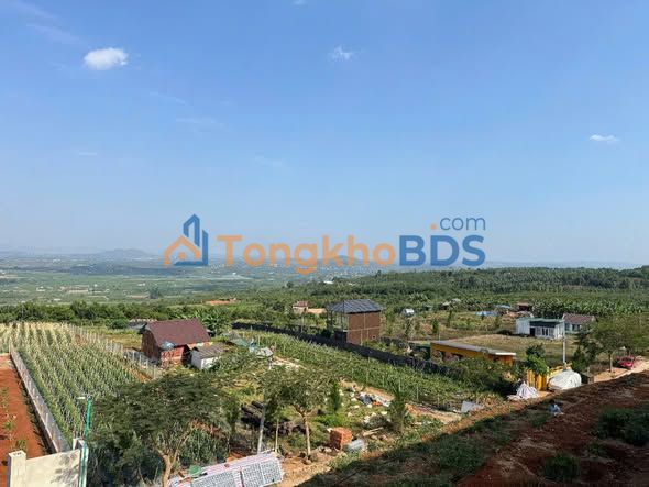 Đất Vườn Lâm Hà 1047m² - Sổ Đỏ Thổ Cư 100m² - Giá 1.15 Tỷ