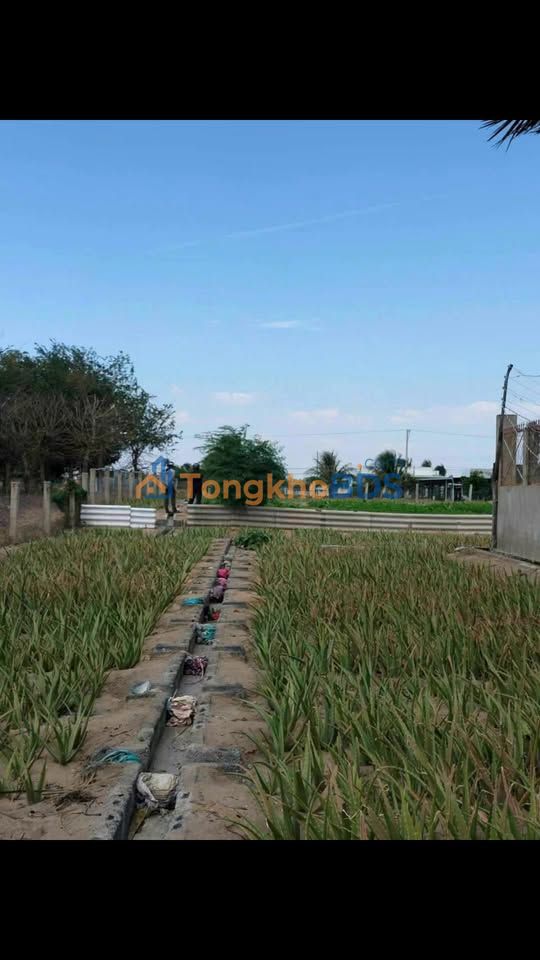 Đất Văn Hải Phan Rang 1613m² 4 tỷ - Sổ hồng chính chủ