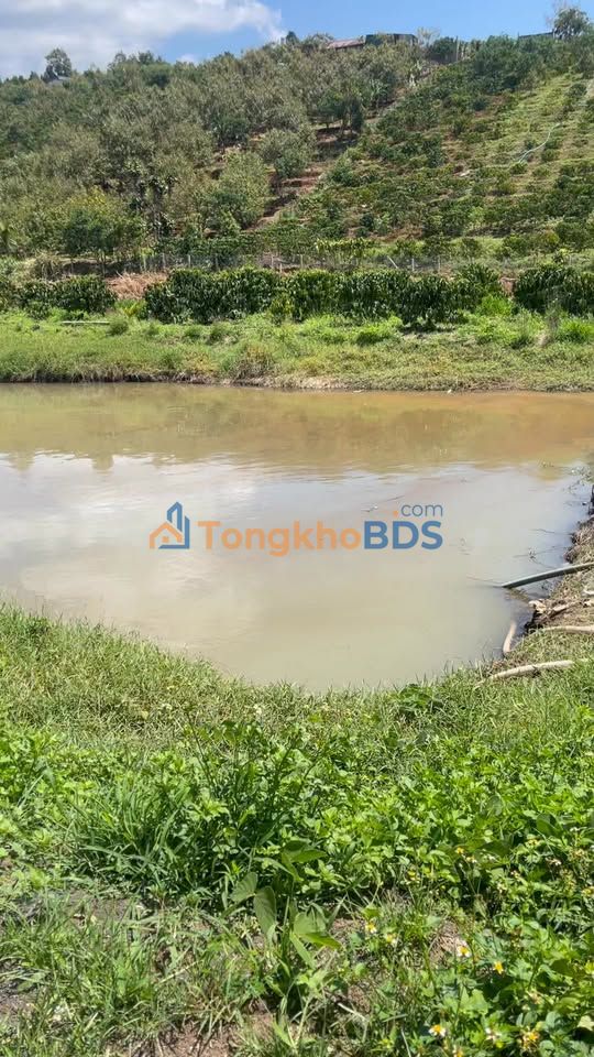 Đất nền Lâm Đồng 2ha - Mặt tiền nhựa 50m - Sổ hồng sẵn 650tr/sào