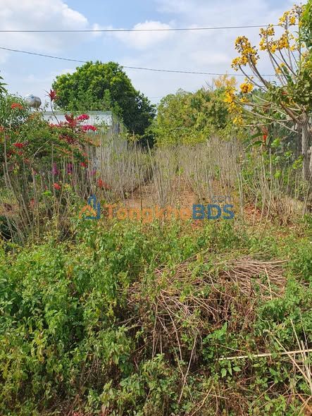 Đất nền Tân Hà Lâm Hà 300m² 1.6 tỷ - Sổ đỏ chính chủ