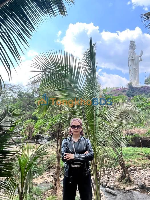 Bán Đất Vườn Cà Phê 7400m² Lâm Hà - Sổ Hồng 400m² Đất Ở