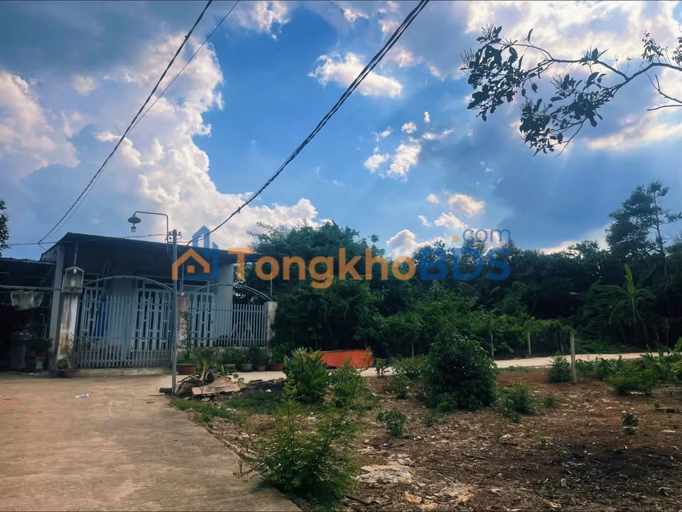 Đất Nền Bảo Vinh 115m² - Hai Mặt Tiền Đường Lớn, Giá 500 Triệu