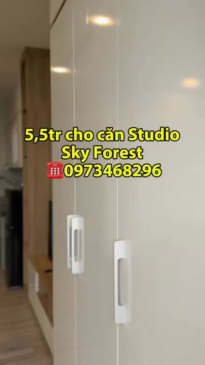 Cho thuê Studio Sky Forest - 5.5 Triệu/Tháng - Mới Hoàn Thiện