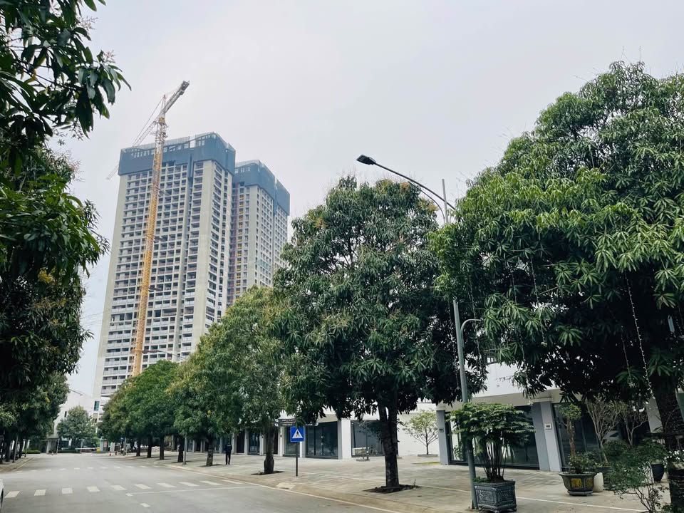 Liền kề Ecopark 80m² - Giá tốt nhất Spring Valley, Sổ đỏ