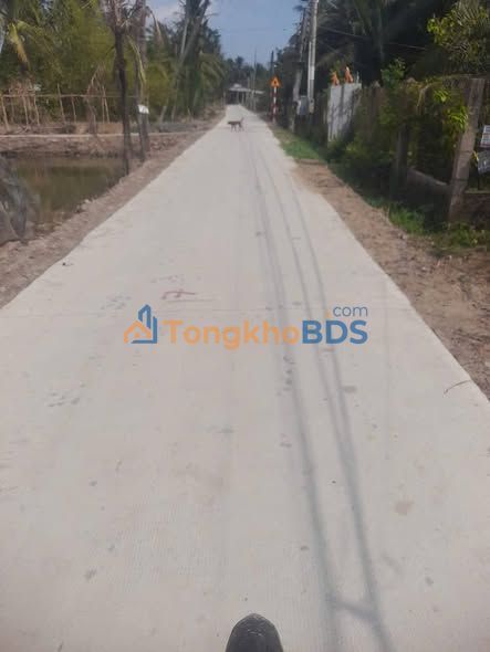 Đất vườn Định Thủy 2.300m² 1,4 tỷ - Đầu tư dài hạn