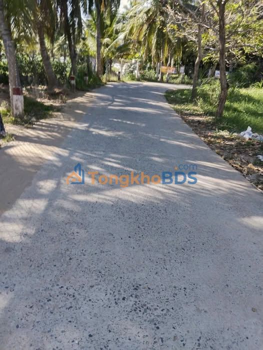 Đất vườn Phú Mỹ 3.300m² giá 2,7 tỷ - Sổ đỏ chính chủ, xây dựng tự do