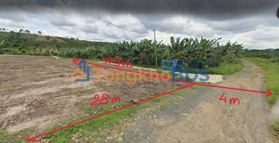 Bán Gấp 4 Thửa Đất Vàng 1284m² Hòa Bắc, Di Linh - Sổ Hồng Sẵn Sàng