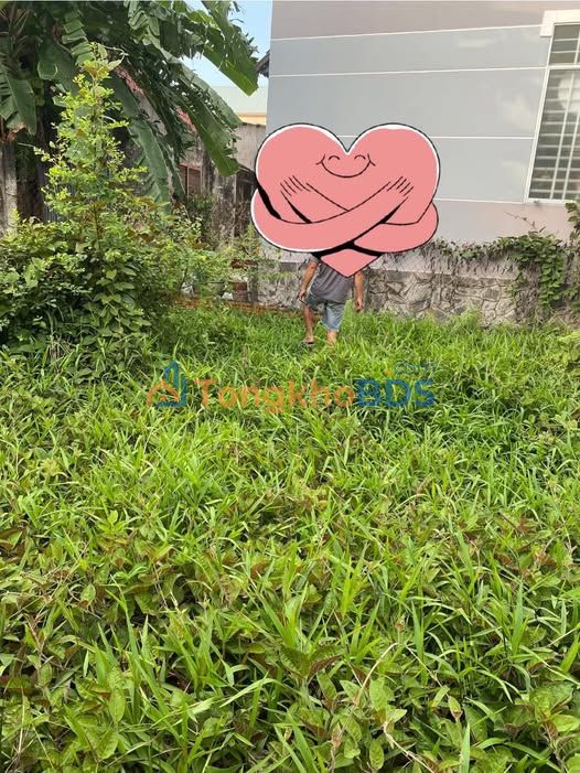 Bán Đất Thị Trấn Mỏ Cày 50m² Sổ Đỏ Lâu Dài - Giá 320 Triệu