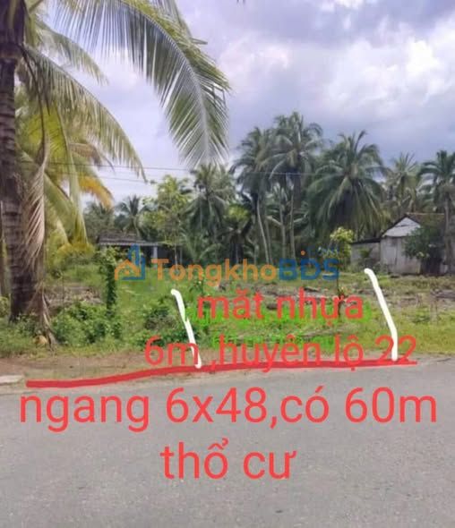 Đất Nền Mỏ Cày Nam 288m² - Sổ Đỏ Thổ Cư, Giá 590 Triệu