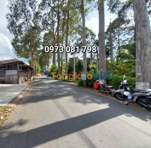 Đất Vườn 1.363,8m² Mặt Tiền Huyện Lộ 24, Bến Tre - Sổ Hồng Sẵn Sàng