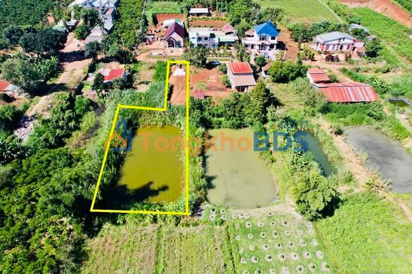 Đất Bình Thạnh Đức Trọng 1.230m² giá 1,6 tỷ - Đường to ô tô