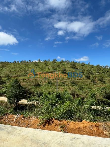 Đất vườn Phúc Thọ Lâm Hà 47.000m² 7.5 tỷ - Sinh thái xanh