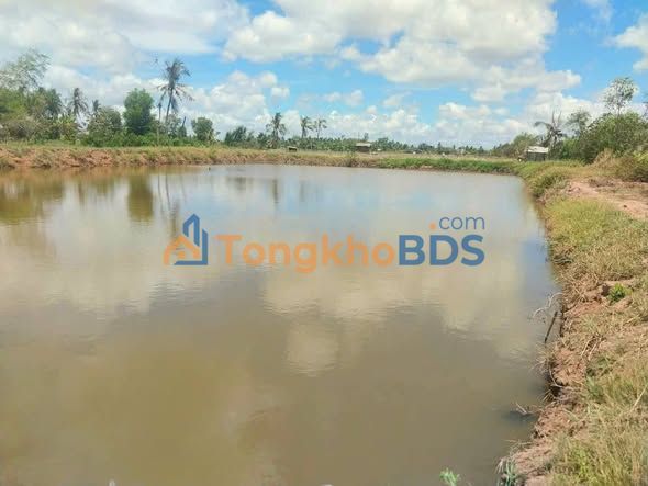 Bán Đất Vườn 3308m² Bến Tre - Giá 4.95 Tỷ - Giáp Rạch, Đường Công Cộng