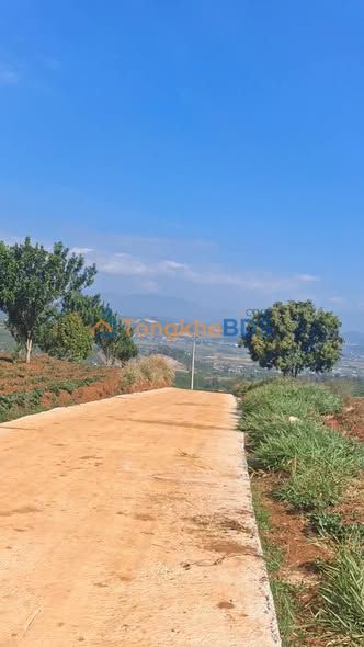 Đất nền Tân Hà Lâm Hà 20.000m² 390tr/xào - Sổ đỏ chính chủ