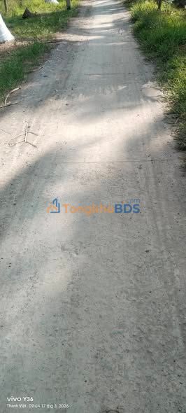 Đất Nền Phước Hiệp Bến Tre - 1840m² Sổ Hồng, Giá 950 Triệu