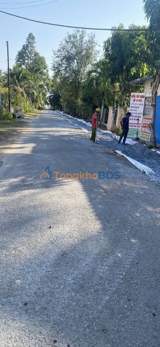 Đất Nền Lộ Nhựa Bình Khánh, Bến Tre - 650m² Giá Chỉ 650 Triệu