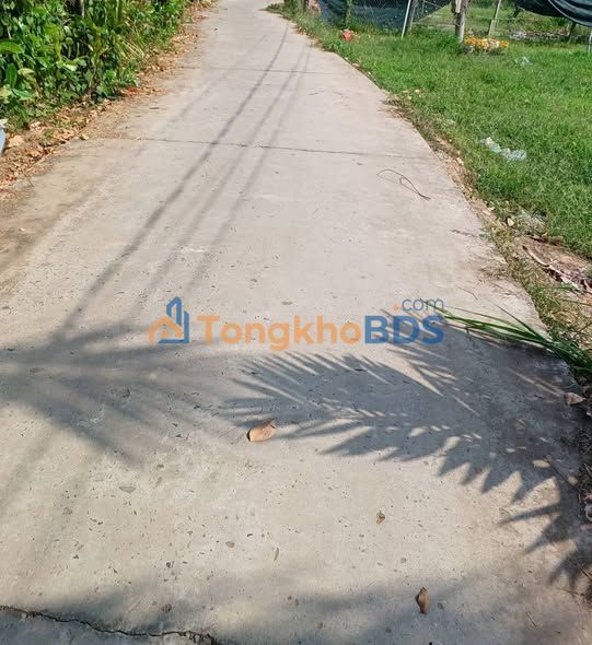 Đất Vĩnh Long 491.5m² Giá Rẻ Chỉ 350 Triệu - Sổ Hồng Sẵn Sàng