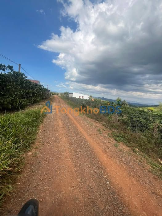 Đất Vườn Lâm Hà - 4131m² Mặt Tiền Đường Sẵn Sàng Làm Bê Tông