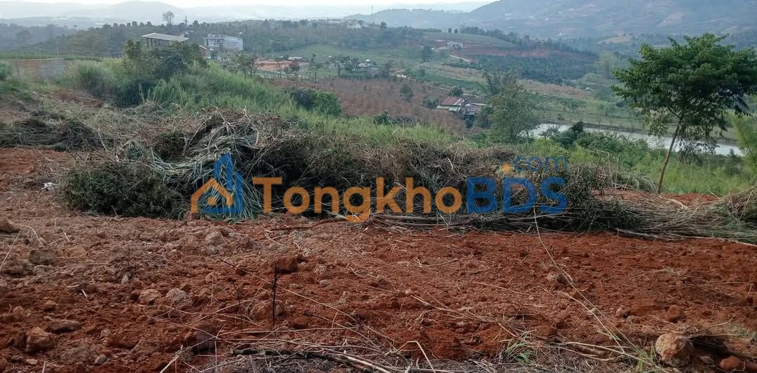 Cho thuê 7000m² đất đỏ Ninh Gia, Đức Trọng - Giá 42 triệu/năm