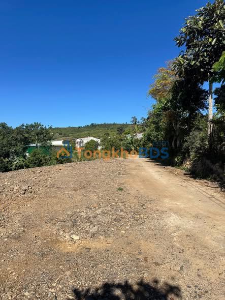 Đất Sổ Hồng Riêng 98m² Tân Văn, Lâm Hà - Chỉ 399 Triệu