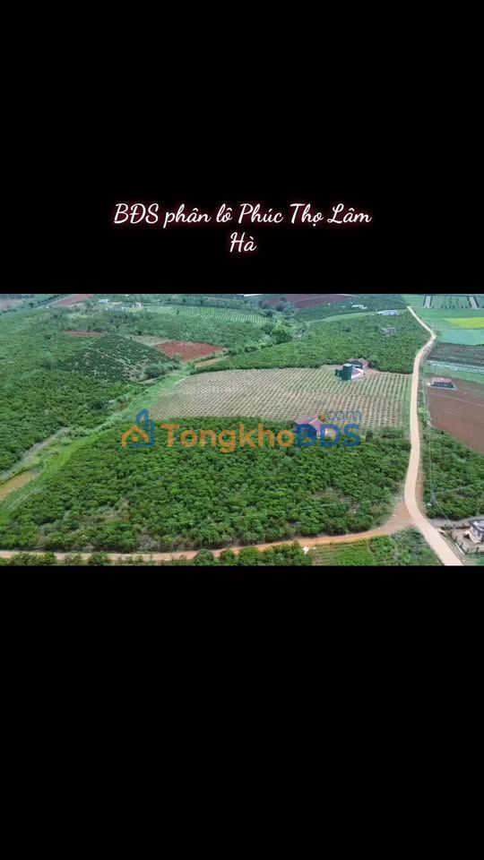 Đất Nền 10.000m² Mặt Tiền Hồ Phúc Hưng, Lâm Hà - Sổ Đỏ Full Thổ Cư