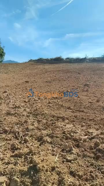 Farm 2ha Đông Thanh, Lâm Hà - Giá Tốt, Đất Đỏ Màu Mỡ