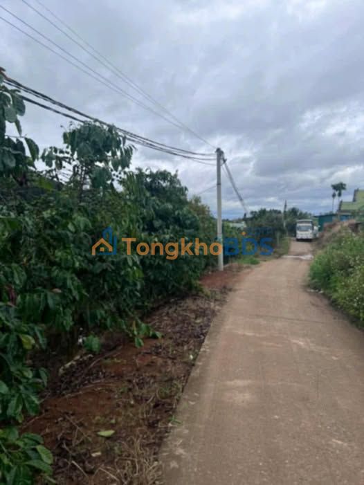 Đất Vườn Nam Hà 10.000m² - Sổ Đỏ Vuông Vắn, Giá Đầu Tư 3.6 Tỷ