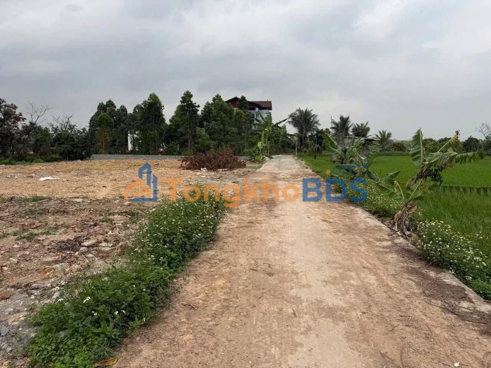 Đất Thổ Cư Bắc Giang 99m² - Sổ Hồng Sẵn, Đường Oto, Giá Tốt